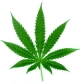 Los Angeles County California medical marijuana dispensaries